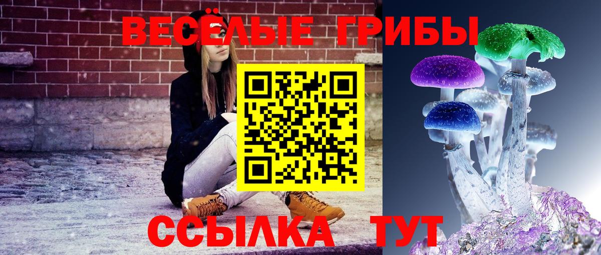 Спасск-Дальний  Псилоцибиновые грибы Magic Shrooms  Псилоцибиновые грибы Psilocybine cubensis  Вход с VPN 